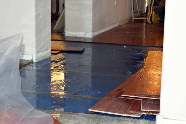 Professional Water Damage Restoration technician working in Holmen, WI